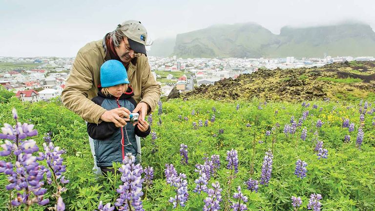 Iceland has grown as a popular destination for families over the past few years.