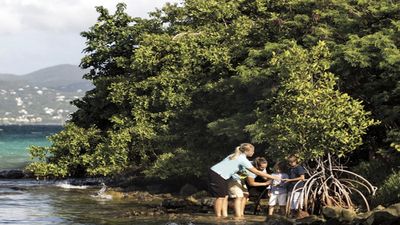 Children can go snorkeling and hiking with a naturalist while at Ritz Kids at The Ritz-Carlton, St. Thomas. // © 2015 The Ritz-Carlton