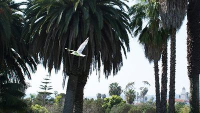 The zoo offers scenic views of the Pacific Ocean, the nearby mountains and downtown Santa Barbara. // © 2015 Melissa Karlin