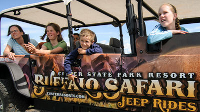 Jeep tours in Custer State Park give guests an up-close look at local wildlife. // © 2015 South Dakota Department of Tourism