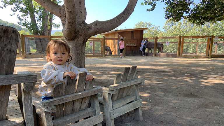 Bring the kids to Avila Valley Barn to feed the farm animals and have an ice cream treat.