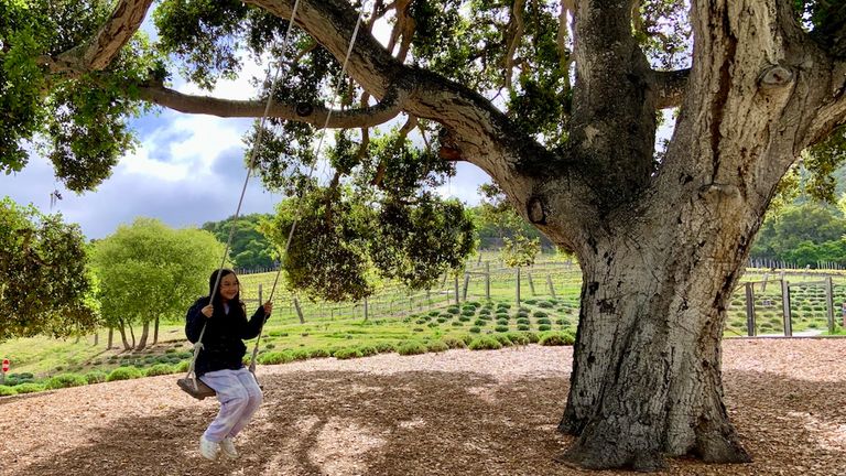 Carmel Valley Ranch _2