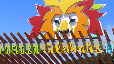 This year marks the San Diego’s Zoo’s 100th birthday. // © 2016 Samantha Davis-Friedman