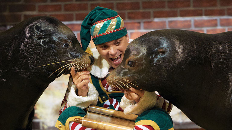 Sea lions Clyde and Seamore star in a family-friendly holiday show at SeaWorld.
