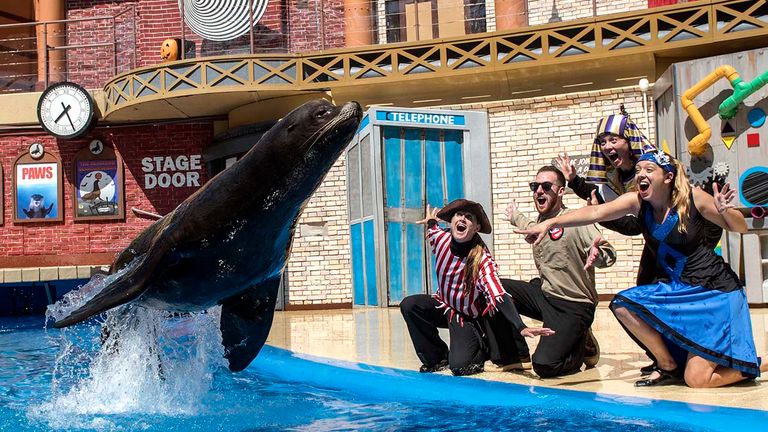 SeaWorld's Halloween-themed sea lion show will thrill guests of all ages.
