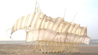Jansen’s Apodiacula “strolls” along the beach. // © 2016 The Exploratorium