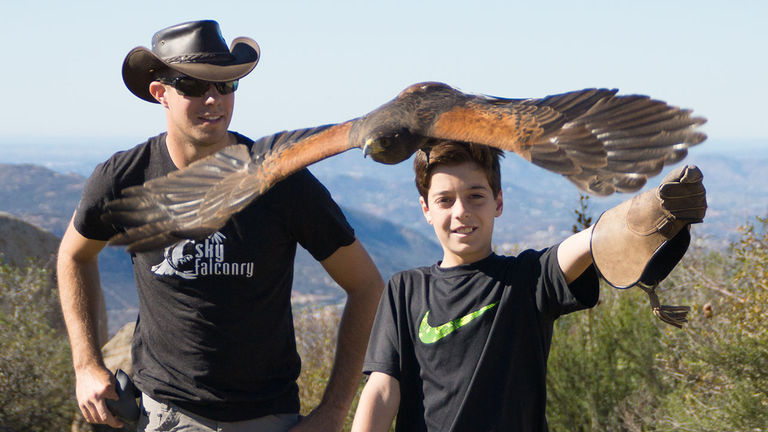 Families can free-fly a trained bird at Sky Falconry.