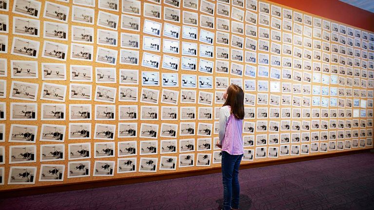 Storyboards from Steamboat Willie cover an entire wall.
