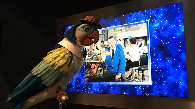 A chatty parrot gives lessons in animatronics.