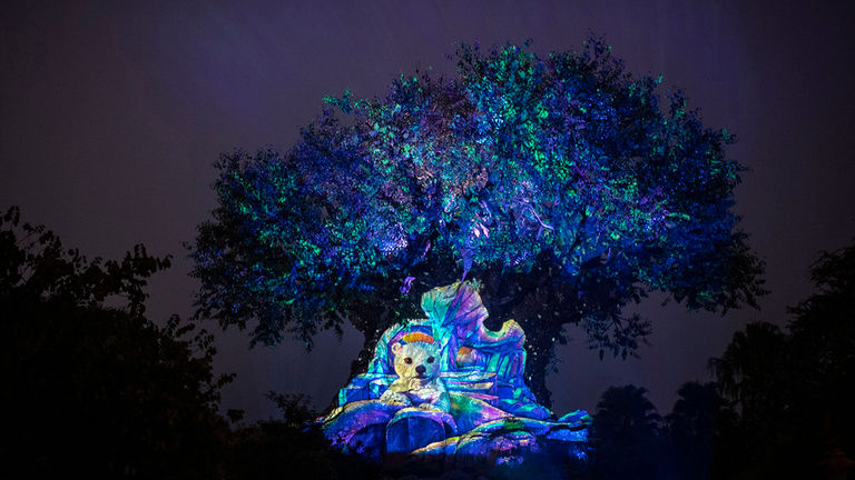 walt disney world 4