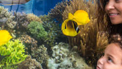 Enriching Family Travel in O'ahu