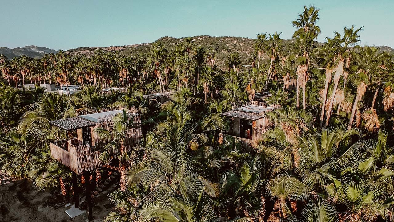 Twelve treehouses are spread out over 15 acres at Acre Baja.