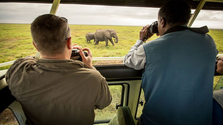 Travelers are booking bucket-list trips, such as safaris.