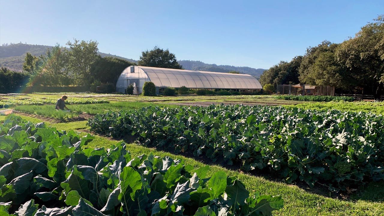 Been There, Do This: Thomas Keller's Restaurant Empire in Yountville, California