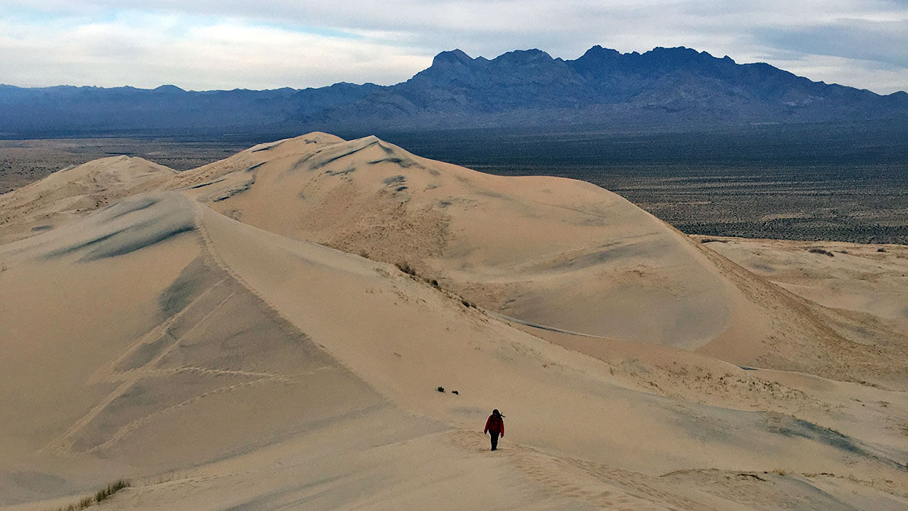 Climb up the largest dune in Mojave National Preserve’s Kelso Dunes.