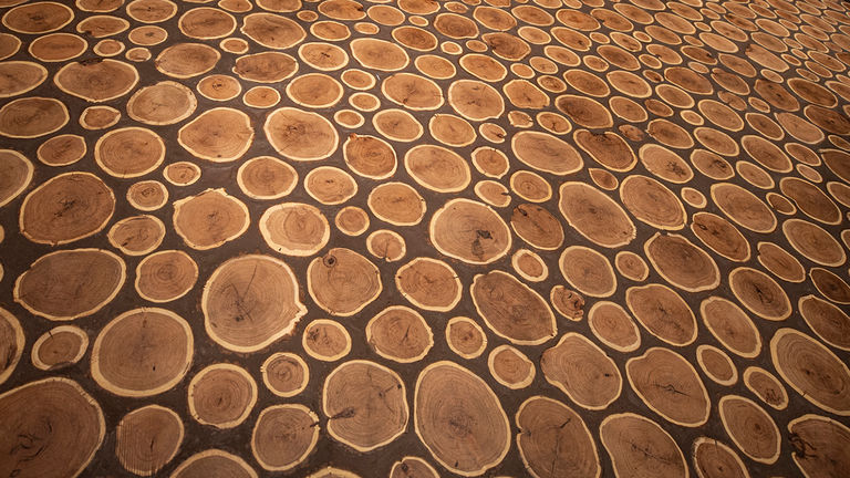 The spa's unique flooring made with wood rounds rather than planks that allow guests to see the life cycle of the tree.