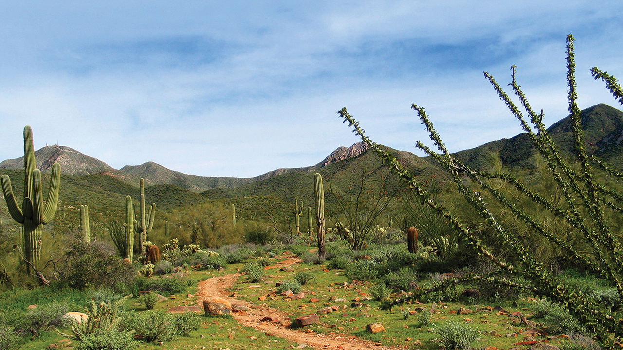 Why Scottsdale, Arizona, Is Perfect for Outdoor Enthusiasts | TravelAge ...