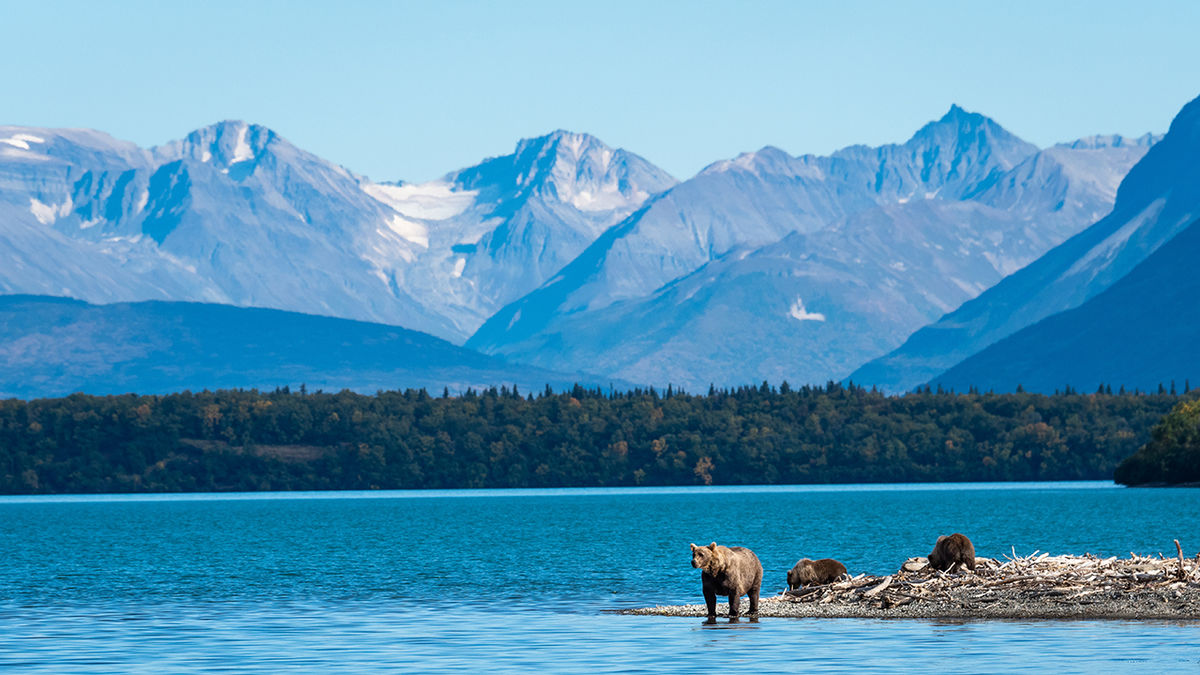 Preparing for an Expanded Alaska 2022 Cruise Season TravelAge West