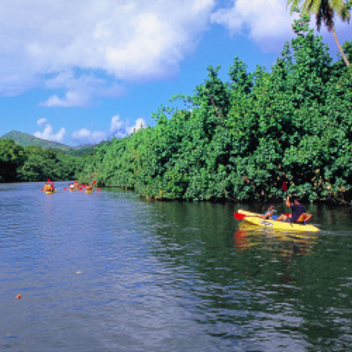 Why Travel Agents Should Sell Kauai TravelAge West