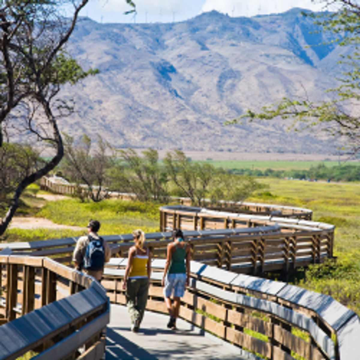 What to Do in Kihei, Maui - TravelAge West