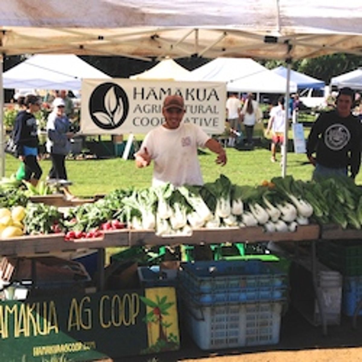 5 Reasons to Visit Waimea on Hawaii Island TravelAge West