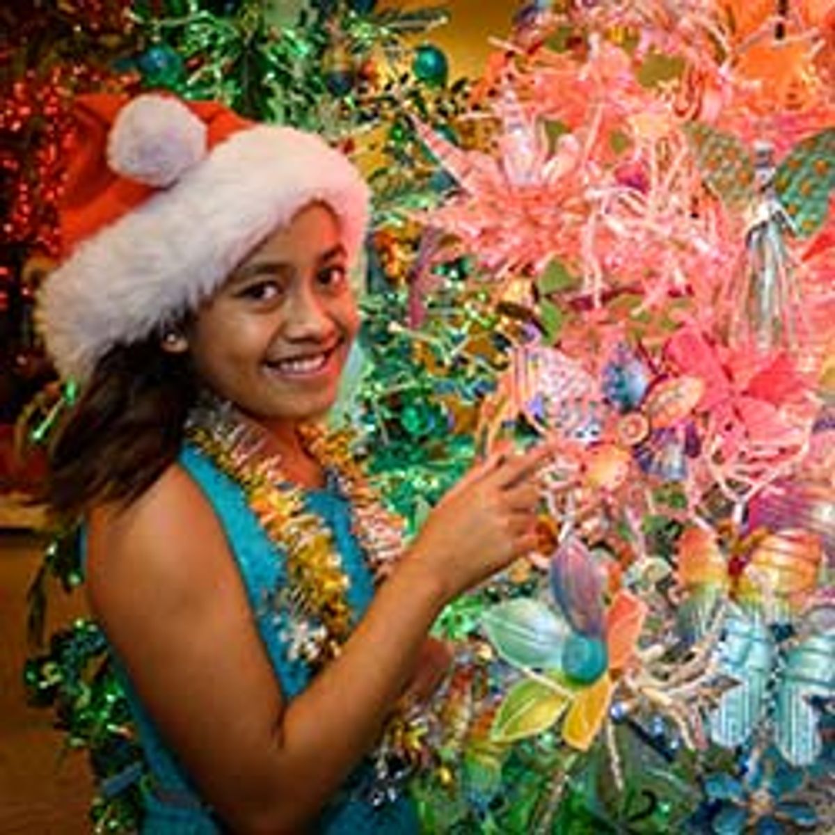 10 Unique Ways to Spend Christmas in Hawaii TravelAge West