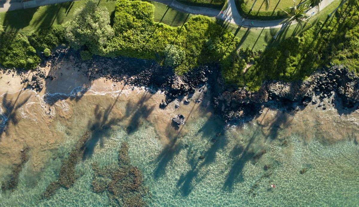 Is All of Maui Closed? These Officials and Businesses Say “No