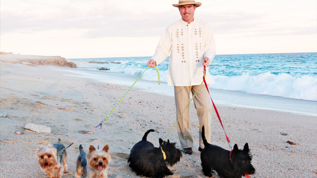 Travel With Dog to Mexico: Ultimate Guide for Stress-Free Trips