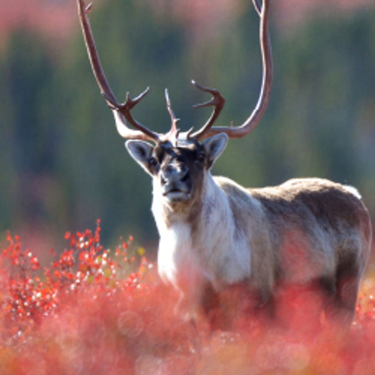 Hidden Gems of Canada Travel TravelAge West