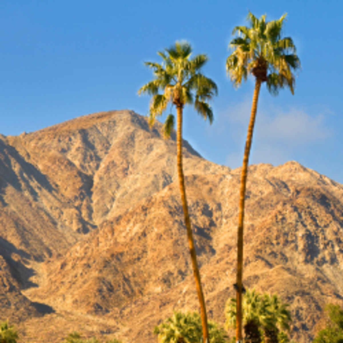 Don't Skip These Palm Springs Hot Spots TravelAge West