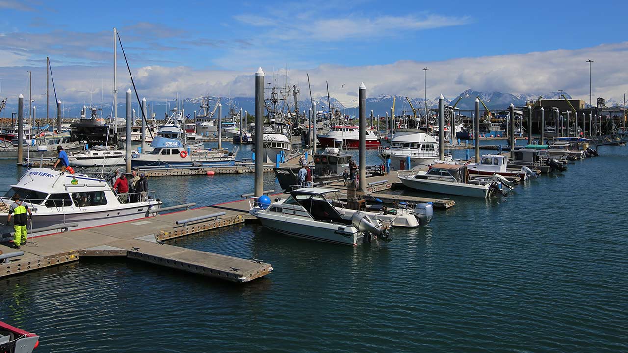 What To Do In Homer Alaska Besides Fishing TravelAge West   TAW 190107 AK Hero HomerAlaskaGuide 