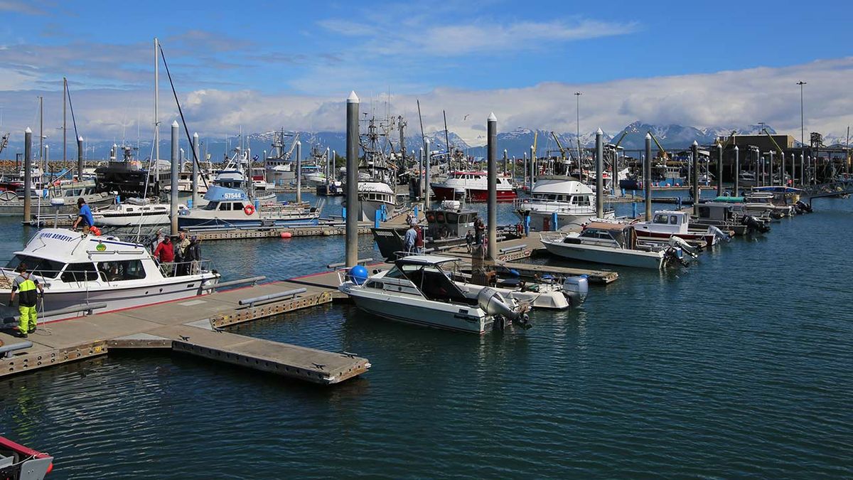 What to Do in Homer, Alaska, Besides Fishing | TravelAge West