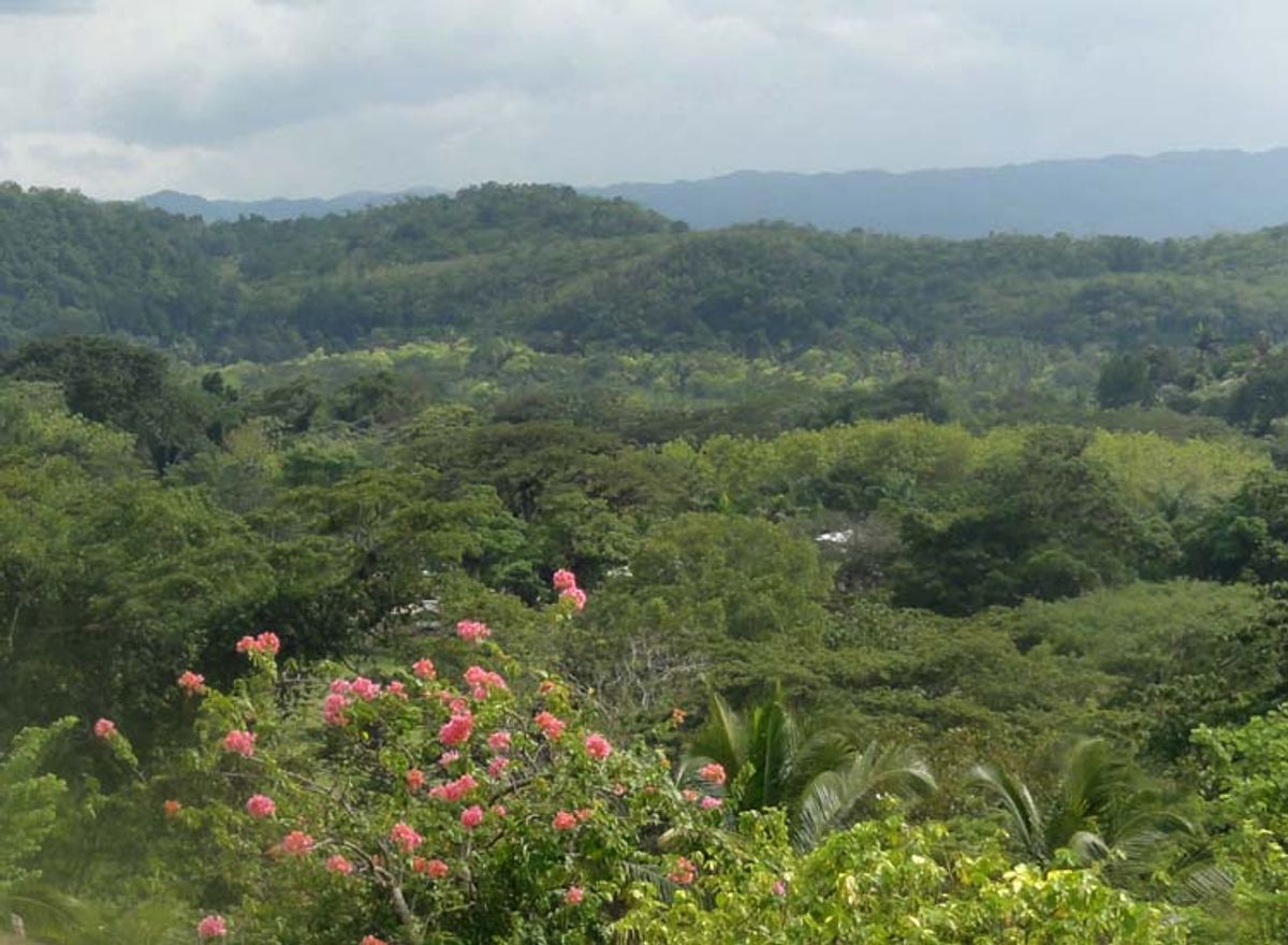 Making the Most of Rainy Days in Jamaica TravelAge West