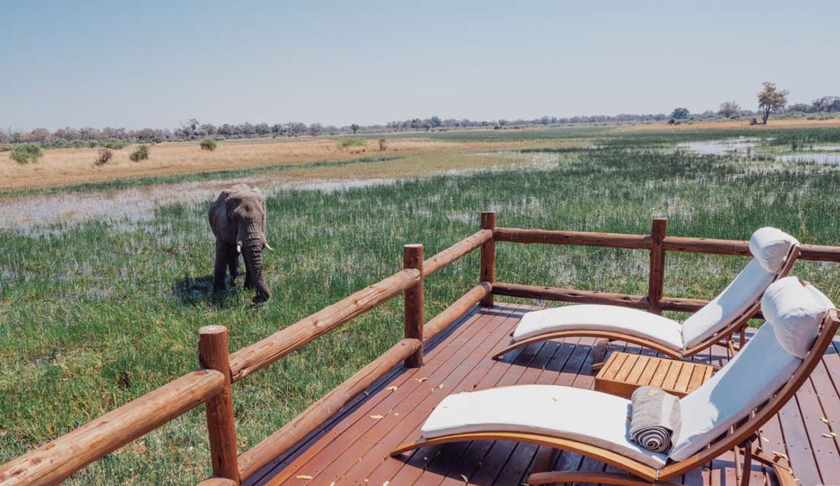 Botswana: What makes the world's most expensive safaris so special