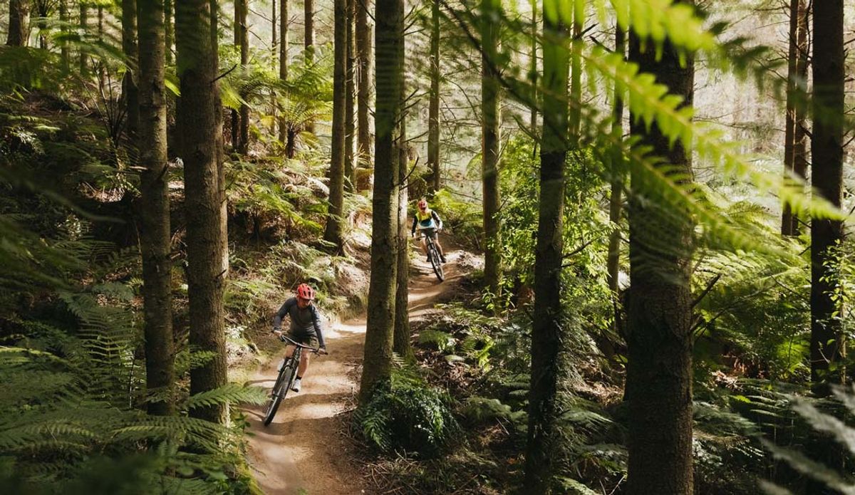 How To Plan a Mountain Biking Adventure in Rotorua, New Zealand