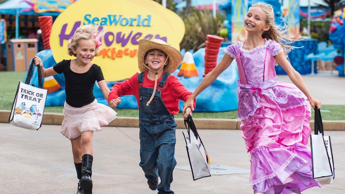 Theme Park Halloween Celebrations