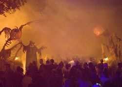 RCI Offers Universal Orlando Package