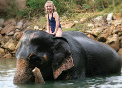 With Greaves, kids can ride elephants in India. // © 2012 Thinkstock F
