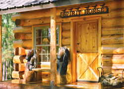 The Spirit Horse cabin is a cozy, family-friendly respite from a day spent in the great outdoors. //© Hidden Meadow Ranch