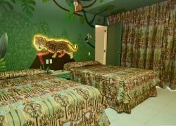 Jungle Room // © 2012 Oasis