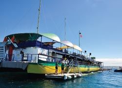 The Waikiki Ocean Club has activities for every member of the family. // © 2012 Waikiki Ocean Club