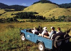 Booking a private lodge sometimes includes a personal vehicle for game drives. // © 2011 Luca Safari Ltd.