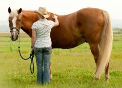 Horseback riding was one of the most popular activities. // © 2012 Thinkstock