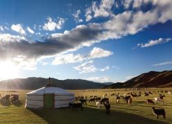A yurt in Mongolia// © 2012 Thinkstock