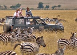 Families can bond on an eight-day safari in Kenya. // © 2010Kensington Tours