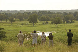 On a game walk in Zambia’s South Luangwa National Park // (c) Abercrombie & Kent