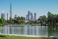 Only in Dubai IMG