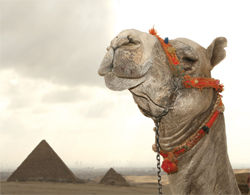 More travelers are choosing to travel to Egypt. // (c) David Dennis