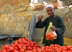Vendors in Hurghada and throughout Egypt are quick to strike up a playful conversation. // (C) 2010 Nir Nussbaum