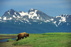 Many travelers still see Alaska as the great unknown. // (c) Photos.com